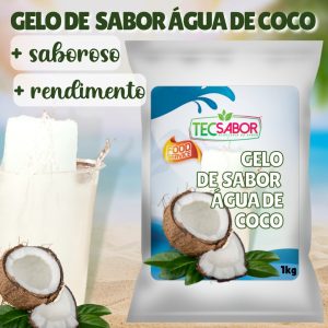 Gelo De Sabor, Pó Profissional P/ Preparo Gelo De Coco 1 Kg