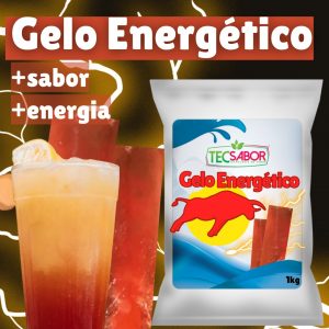 Combo Gelo de Sabor Água de Coco - lojatecsabor